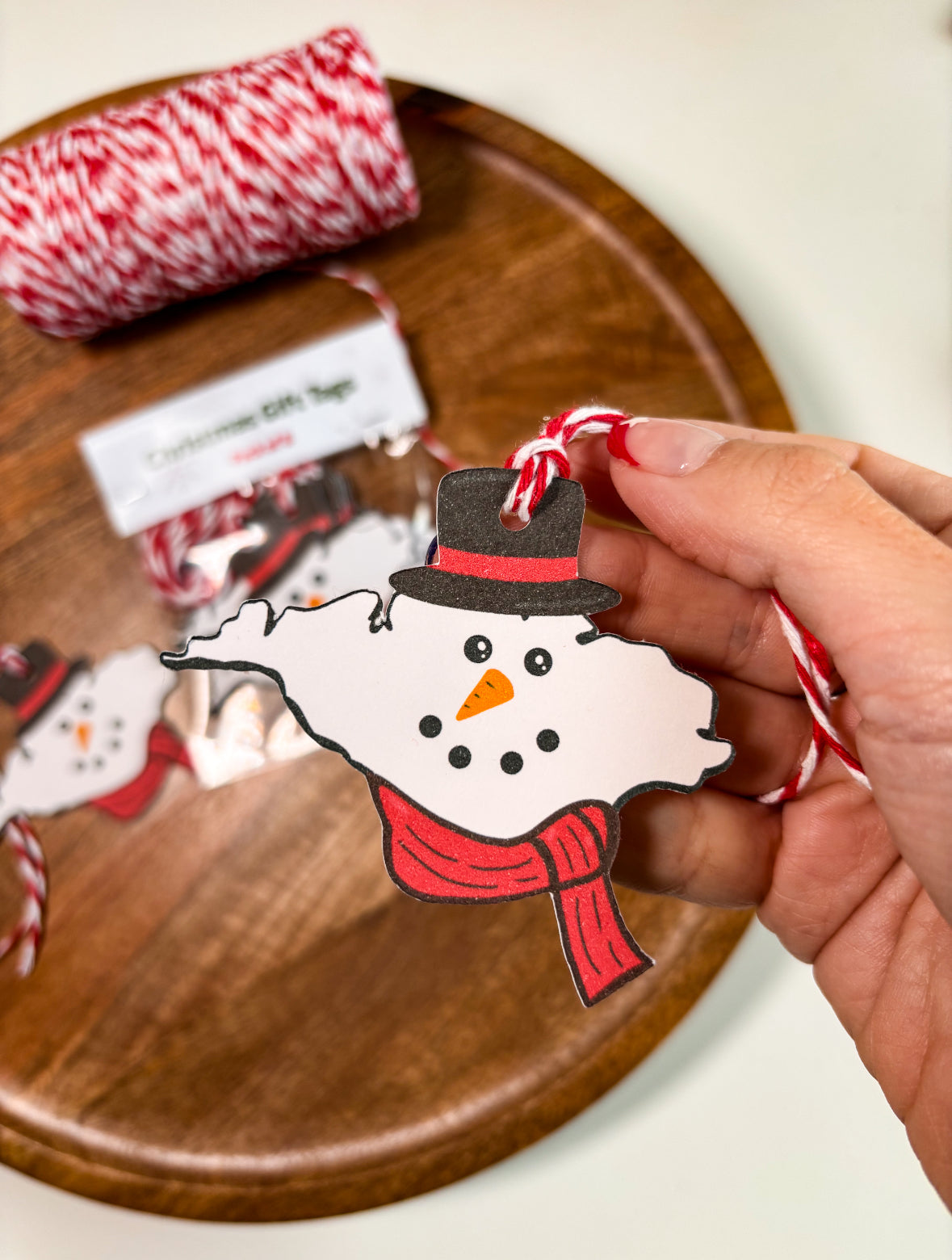 Isle of Wight Christmas Gift Tags Mixed