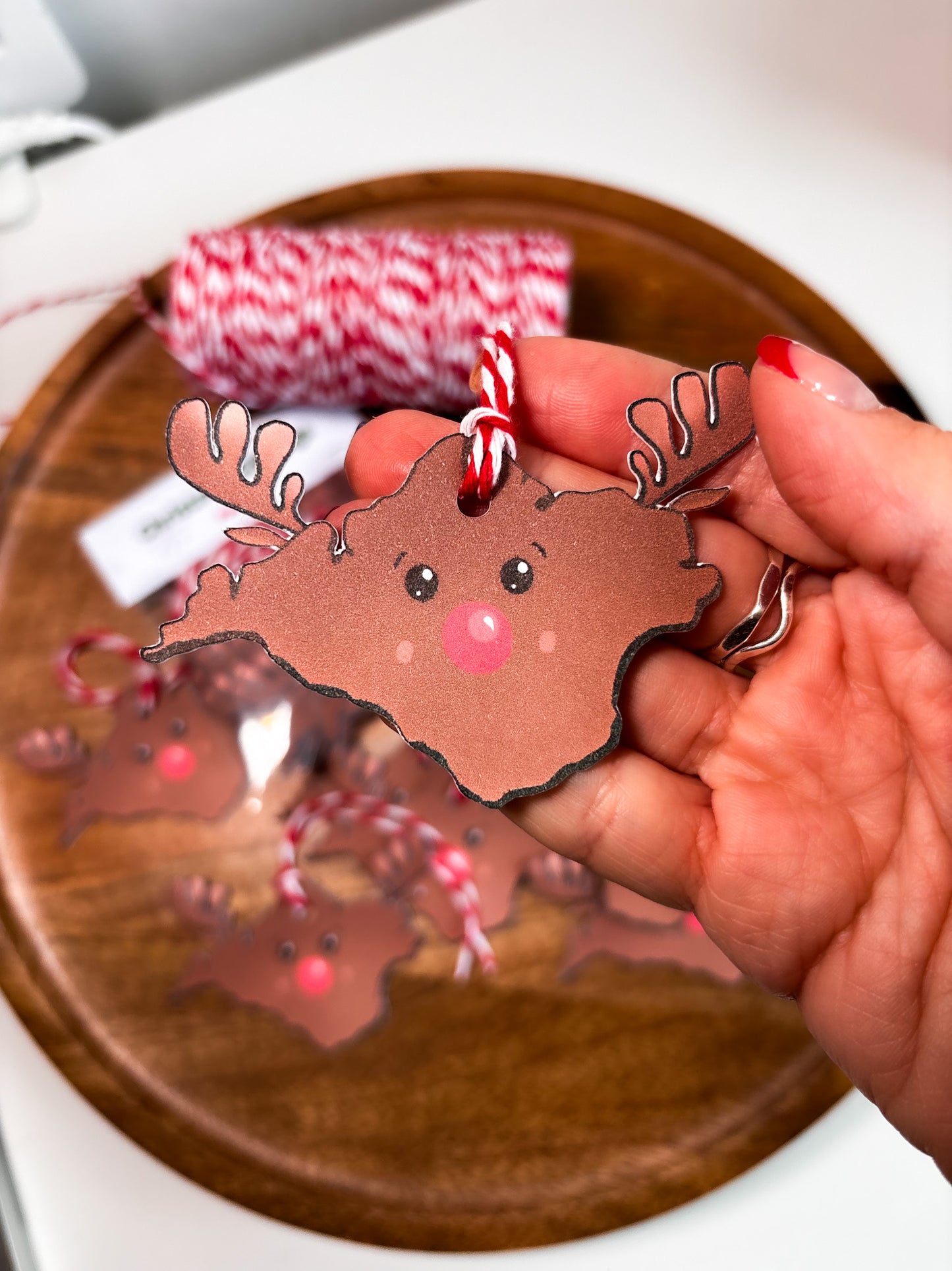 Isle of Wight Christmas Gift Tags Mixed